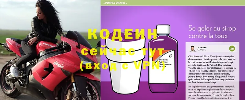 Кодеин Purple Drank  наркота  Луза 