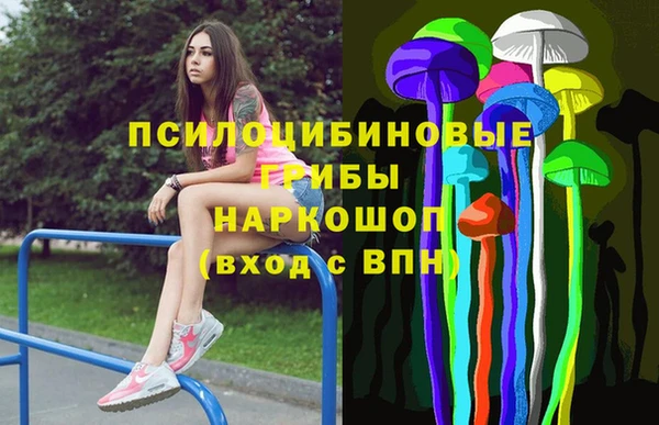 PSILOCYBIN Волоколамск